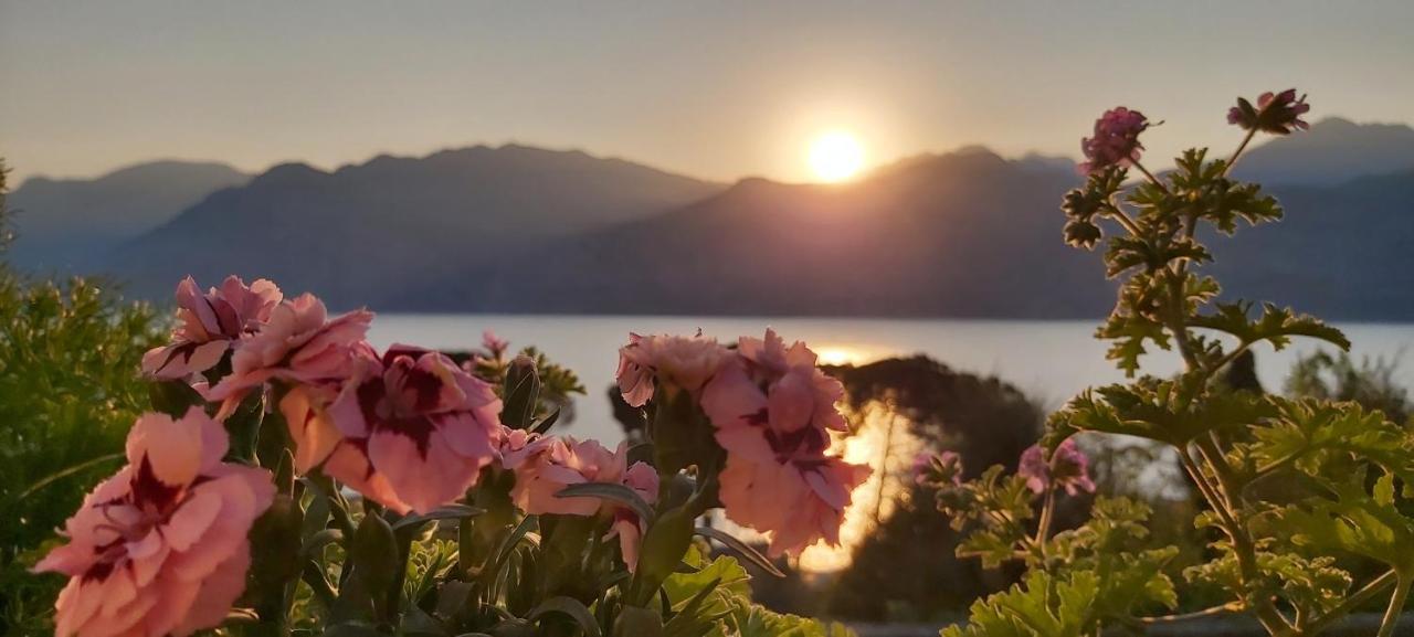 Hotel Casa Popi マルチェージネ エクステリア 写真